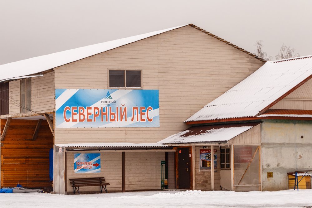 Северный лес | Санкт-Петербург, Пискарёвский просп., 144, корп. 5, Санкт-Петербург